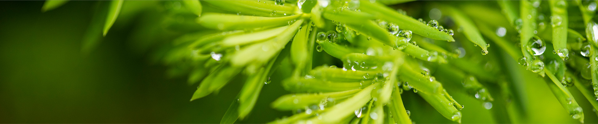 新聞資訊banner-DWS設(shè)備_自動打標(biāo)貼標(biāo)機_擺輪分揀機_包裹體積測量_包裹體積測量設(shè)備_速測通產(chǎn)品網(wǎng)站