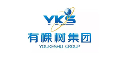 有棵樹集團-DWS設(shè)備_自動打標貼標機_擺輪分揀機_包裹體積測量_包裹體積測量設(shè)備_速測通產(chǎn)品網(wǎng)站合作伙伴